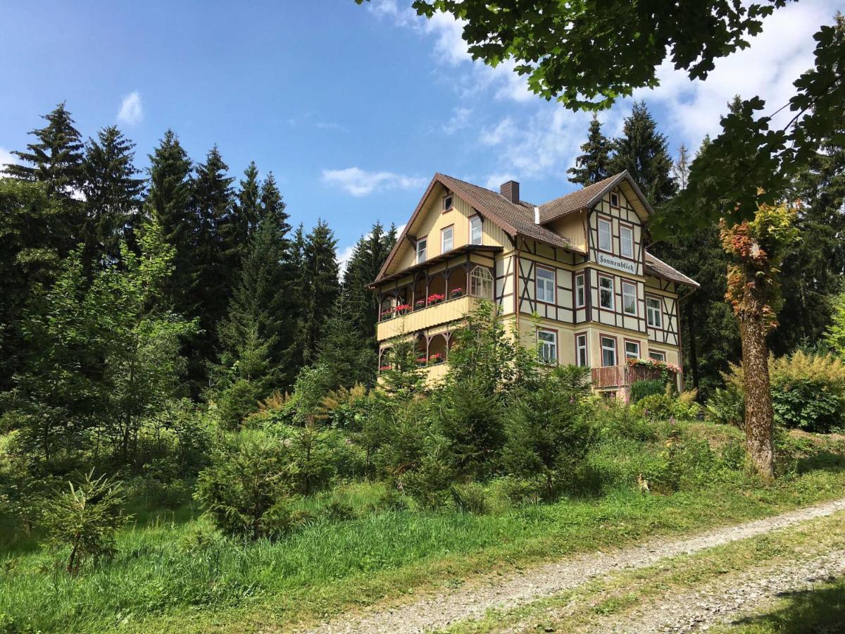 Haus Sonnenblick Apartamento Benneckenstein Exterior foto