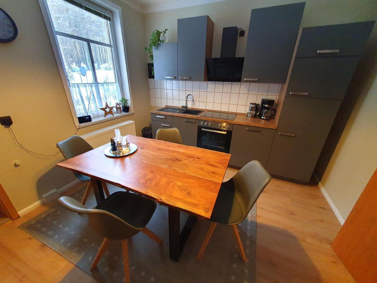 Haus Sonnenblick Apartamento Benneckenstein Exterior foto